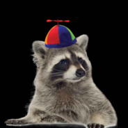 Happy Raccoon