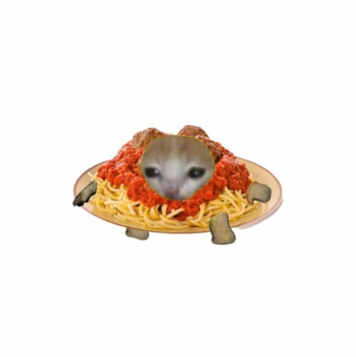 Spaghetti
