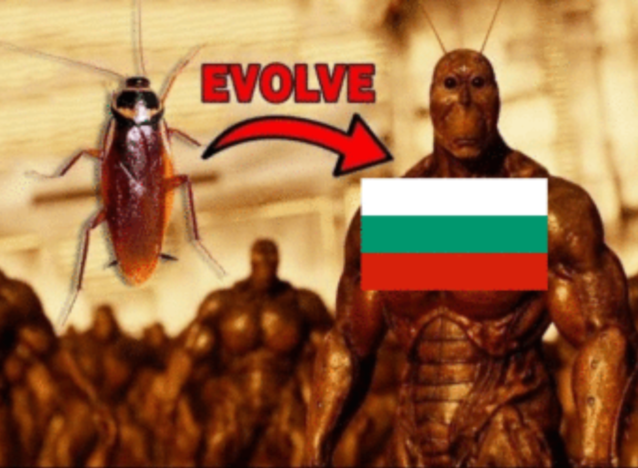 14bb2f56-eb02-4ae0-9c0e-25f63dfa4e55.png